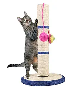 Sage Square Interactive Scratching Pole/Scratch Post for Cat/Kitten/Puppy/Pets (39x 24 cm)