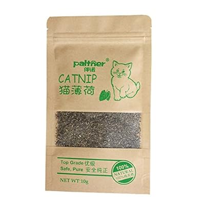 Hanyia 100% Naturel Organique 10g Cataire Attirer les Chats Chatons un Sachet de Herbe a Chat