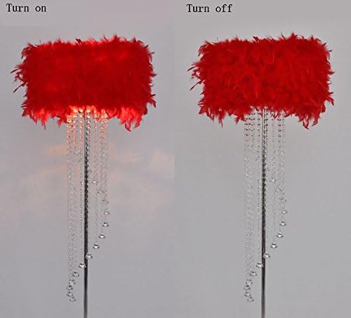 MENA HOME- Feather Floor Lamp Metal Crystal Tassel E27 LED Floor Light Classic Decorative Gift Living Room Wedding Room Bedroom Bedside ( Color : Red )