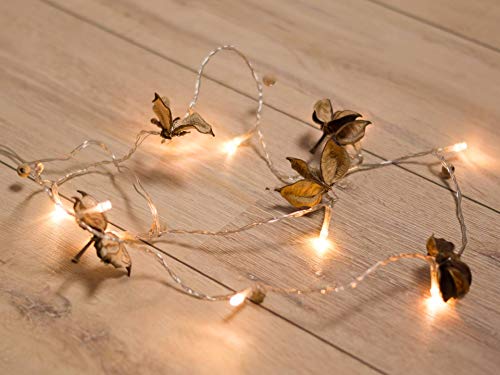 Wunderfabrik Maravillas fábrica LED Cadena de luz otoño Luz, 10 batteriebetriebene LED de Leuchten - Decoración para el otoño - Juego de 2
