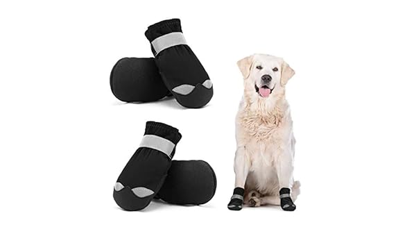 protective paw covers for dogs