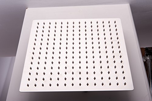 Pre&Mium Edelstahl Regenduschkopf für Badezimmer Kopfbrause mit 196 WasserporenJDPT01-F