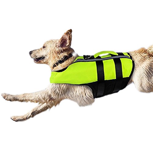 Homesupplier Dog giubbotti per nuoto Dogs Life gilet costumi da bagno per cani taglia piccola, media, galleggianti, sicura e riflettente, verde fluorescente