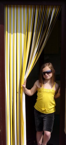 The Buzz Strip Blinds For Doors Traditional Walk Through Plastic
