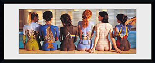 GB Eye Ltd, Pink Floyd, Back Catalogue, Foto incorniciata 30x75 cm