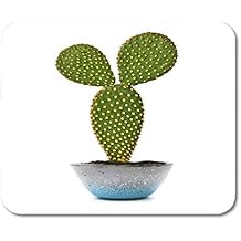 Gxdchfj Opuntia Cactus Isolated On White Background 304 Stainless Steel Flask 7oz Utensilios de bar Artículos y equipo de servicio para la restauración