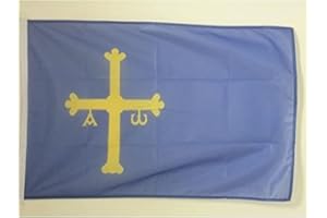 AZ FLAG Bandera del PRINCIPADO DE Asturias 90x60cm Uso Exterior - Bandera ASTURIANA 60 x 90 cm Anillos