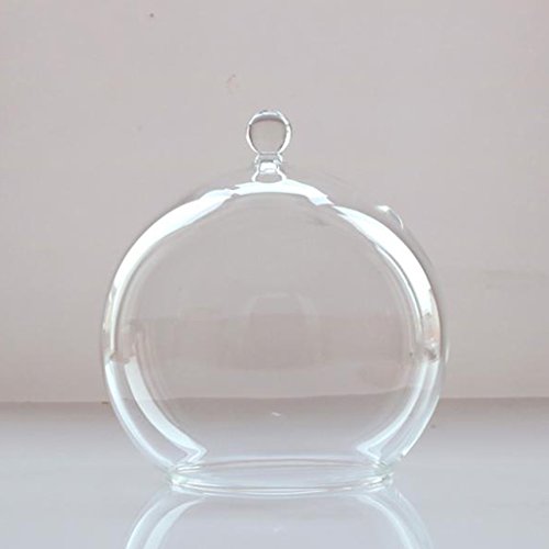 MagiDeal Deko Glasglocke mit Holzboden , Transparent Glas Behälter Micro Landschaft Garten DIY Terrarium Container Dekoration – mit kleinen Kugel, 15x18cm - 4