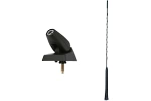 GENERIC Antenne et base compatibles avec Peugeot 106 206 306 405 406 806 Expert Partner 40,6 cm
