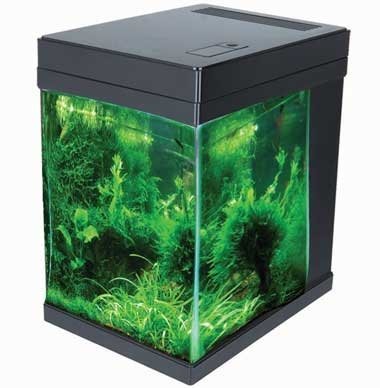 JBJ 3G Cubey Remote Control LED Aquarium, Black by JBJ
