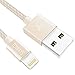 Price comparison product image Lightning Cable Toways iPhone Charger [Apple MFi Certified] Nylon Braided USB cable for iPhone X 8 Plus 8 7 Plus 7 6S Plus 6 SE 5S 5C 5, iPad 2 3 4 Mini, iPad Pro Air, iPod, Mavic - 6.5ft/2m Gold