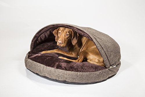 collared creatures dog cave bed