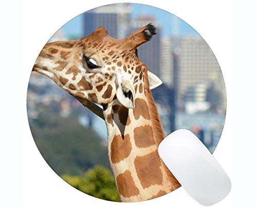 Preisvergleich Produktbild Spiel-Mäusematte, lustige Tiergiraffe Mauspad Genähte Grenze
