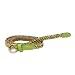 SRI Womens Causal Braided Waist Belt With Pin Buckle - Green Orange RS.249.00