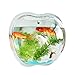 Produktbild Apple Transparent Pot Andere Aquarium Hydroponik Trigg Hängende Pflanzgefäß Vase & Geometric Wall Decor Container - ideal für Sukkulenten, Air Plant, Mini Cactus, Faux Pflanzen und vieles mehr