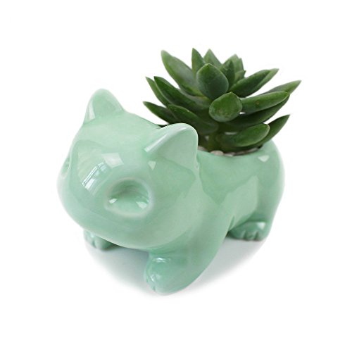 WOOAI Kawaii Pot de Fleurs en céramique Bulbizarre Succulente Pot de Fleurs Mignon Blanc/Vert Plantes Pot de Fleurs avec Trou Mignon