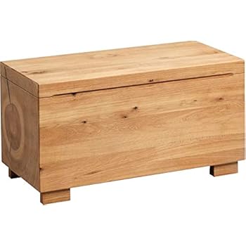 vidaXL Aufbewahrungstruhe mit Auflage Stauraum Aufbewahrungsbox Truhe