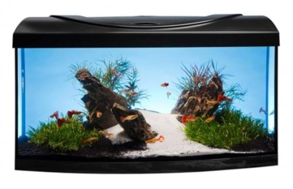 циприхромис лептозома утинта флюресцент. скалярия рио хингу. аквариумные рыбки таганрог. аквариумные рыбки таганрог. магазин весёлые рыбята таганрог.