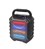 Mobile Anlage: DJ-Anlage mit eingebautem Hochleistungs-Akku, Wiedergabezeit bis zu 3 Stunden. Leicht zu transportieren durch Tragegriff