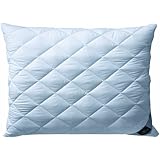 Billerbeck Betten union 2460490021 - Almohada estándar, color blanco