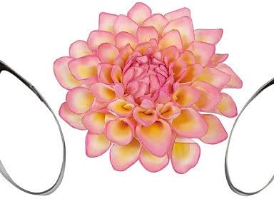 FOUR-C Drop Flower PLUMERIA Stainless Steel Cutter Fondant Sugar Craft Cupcake Mold Baking Moulds Cookie