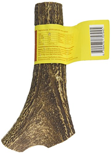 antos antler dog chew
