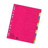 Falken Karton-Register für DIN A4 24 x 29,7 cm volle Höhe...