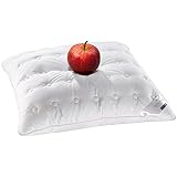 Billerbeck 5453700001 cojín E33 lavado Plus a, aproximadamente 80 x 80 cm