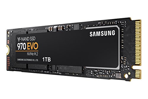 Samsung 970 EVO - Memoria SSD de 1 TB  Color Negro