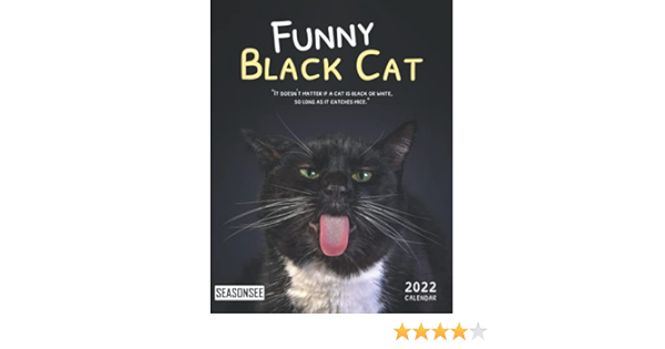 Rpi Calendar 2022 Funny Black Cat Calendar 2022: Gifts For Friends And Family With 18-Month  Monthly Calendar In 8.5X11 Inch : Publishing, Seasonsee: Amazon.co.uk: Books