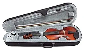 PAL MUSIC HOUSE 4/4 Violin With Case bow & Rosin(imported)