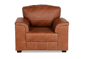 Rajgarhwala Furnitures Cosy Single Sofa