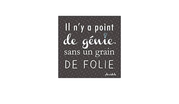 Citation Aristote Il Ny A Point De Genie Sans Un Grain De Folie 40x40cm Tableau Mural Toile Sud Trading Tableaux Posters Et Arts Decoratifs Cuisine Maison Schoolofbabywearing Com