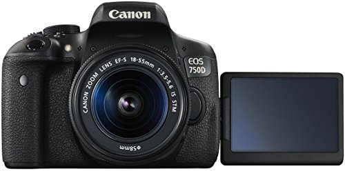 Canon EOS 750D - Appareil Photo Num rique R flex 24 MP Objectif 18-55mm Objectif 50mm - Noir reviews Canon EOS 750D - Appareil Photo Num rique R flex 24 MP Objectif 18-55mm Objectif 50mm - Noir