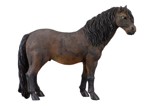 Preisvergleich Produktbild CollectA Dartmoor Pony (Dark Bay)