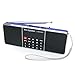 Produktbild PRUNUS Portables AM(MW)/UKW FM/Bluetooth/USB/SD/TF Radio MP3 mit Doppelmagnet Lautsprechern -Stereo Sound- AUX und Sleep Timer Funktion