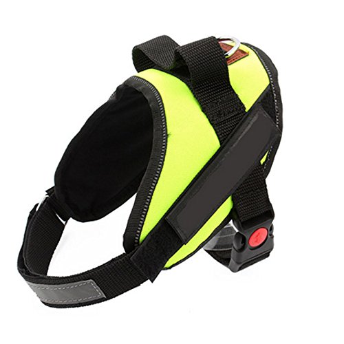 Preisvergleich Produktbild VictoryCN Kühle Qualitätshaustiergeschirr Haustier Hosenträgergurt(grün M)