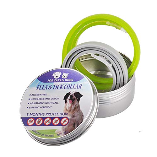 Starter collare per cani e gatti protezione contro pulci zecche zanzare pidocchi Antielmintica olio essenziale naturale Pet Collar (1 pezzi per confezione)