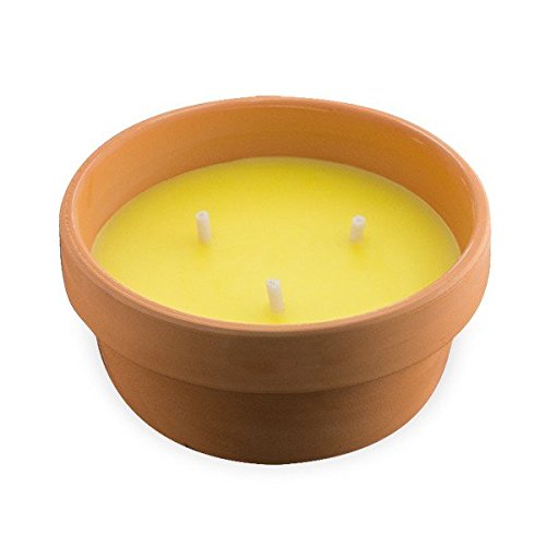 Citronella Candle 08261 Kerze Zitronengras + Übertopf Terrakotta braun 16,8 cm - 2