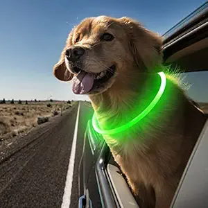 Vizbrite LED Dog Collar, USB Rechargeable Light Up Dog Collars, Glow Safety Basic Dog Collars for Night Walking, Waterproof Collar for Small Medium Large Dogs