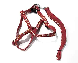 A&D Traders Nylon Adjustable Leash with Collar Set Printed Nylon Puppy Harness for Small & Medium Dogs Colour May Vary (0.75-inch)