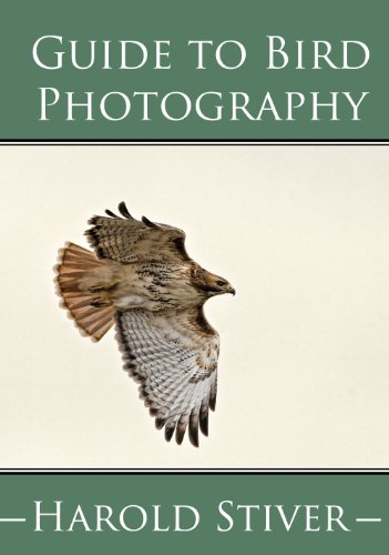 Download Guide to Photographing Birds