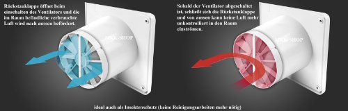 ROMANIK Standard 201 – zum Auffangen von ASCHE - 3