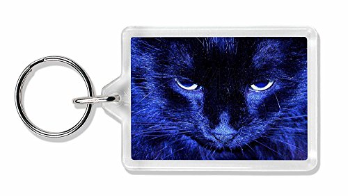 Preisvergleich Produktbild Schwarze Katze in Blue Night Light Foto Schlüsselbund TierstrumpffüllerGeschenk