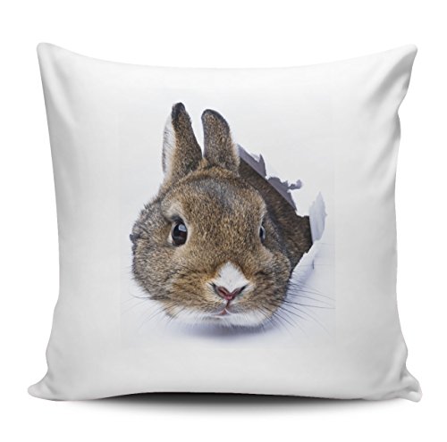 Kissenhülle / Kissenbezug 40x40cm - Motiv: Kaninchen sieht durch ein Loch direkt in die Kamera| 019