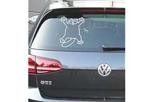 MS Car Sticker Lustige Katze für zb. Heckscheibe,Seitenscheibe usw. für innen(gespiegelt) oder aussenverklebung erhältlich (Weiss glänzend, Innenverklebung)