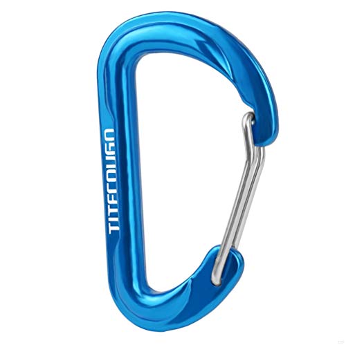 TITECOUGO 6cm D Shape Carabiner Clip Hook D-Ring Key Chain Nonlocking Durable Keychain Mini Carabiners 60mm Small DD Keyring Chains Ring Climbing Lighter Outdoor for Men and Women Sky Blue 1 PCS