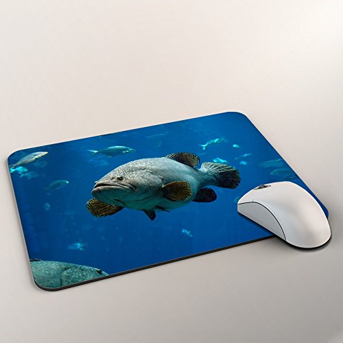 Leben im Meer 10030, Fisch, Designer Mousepad Unterlage Mauspad Maus-Pad Stark Anti Rutsch Unterseite für Optimalen Halt mit Lebhaftes Motiv Kompatibel mit Apple Magic Maus. Ideal für Gamer und für Grafikdesigner - 2