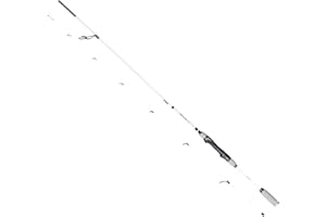 ‎FISHN FISHN PredatorOne Angelrute 2,40m, 20-80g, Angelrute –Spinnrute –Steckrute – direkte Kraftübertragung beim Angeln auf Raubfische