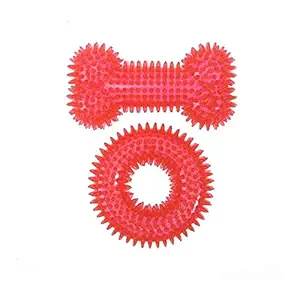 Smarty Pet Combo of Spikes Bone and Rim Shape Chew Toy for Dogs and Puppies- Pack of 2 (Color May Vary)